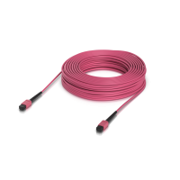 OM4 MPO-12 UPC Fiber Patch Cable 30M
