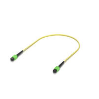 OS2 MPO-12 APC Fiber Patch Cable 0.5M